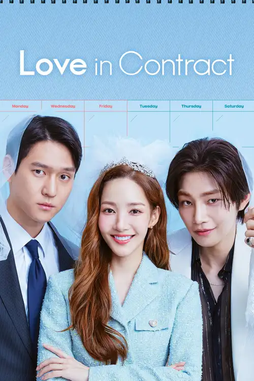 Download Love in Contract (Season 1) Dual Audio {Hindi Korean} K Drama Series 480p 720p & 1080p WEB DL 12 love in contract season 1