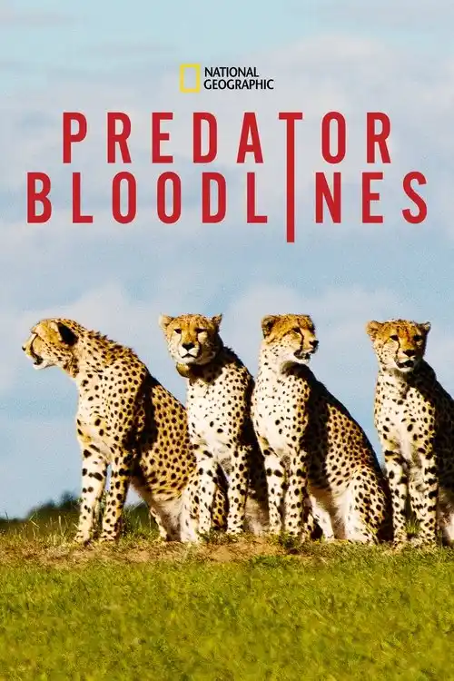 Download Predator Bloodlines (2021) Season 1 Hindi Complete DSNP WEB Series 480p | 720p HDRip 22 predator bloodlines 2021
