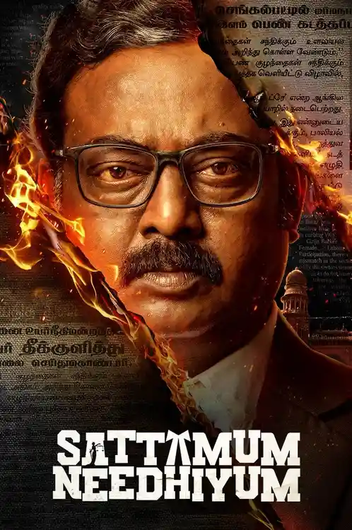 Download Sattamum Needhiyum (Season 1) Hindi Complete Zee5 Web Series 480p | 720p | 1080p WEB DL 17 sattamum needhiyum season 1