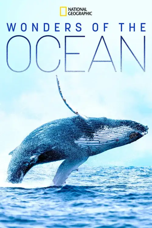 Download Wonders of the Ocean (2021) Season 1 Hindi Complete DSNP WEB Series 480p | 720p HDRip 20 wonders of the ocean 2021